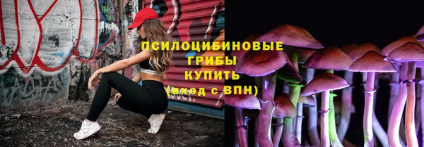 МДПВ Абаза