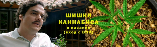 МДПВ Абаза