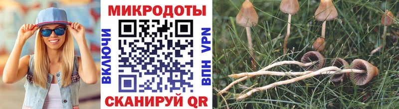 купить наркоту  Нижняя Тура  Псилоцибиновые грибы мухоморы 